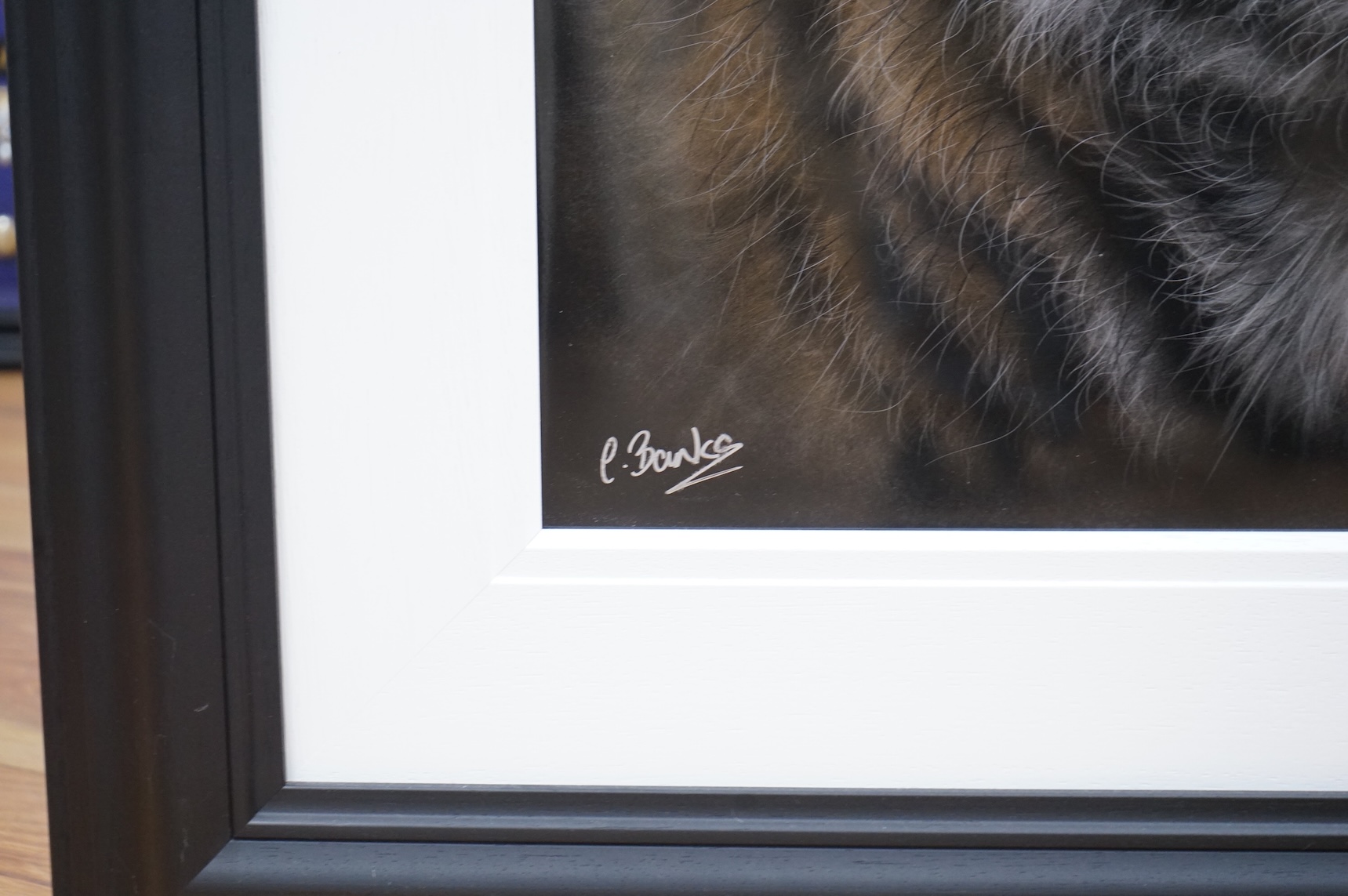 Colin Banks (Contemporary), Head of a tiger, signed, spray paint and mixed media on aluminium sheet, 59 x 59cm
